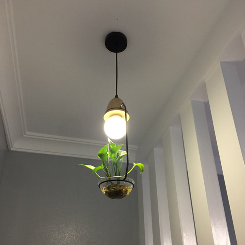 Metal frame with glass planter pendant light