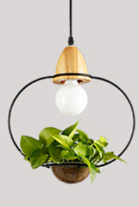 Metal frame with glass planter pendant light