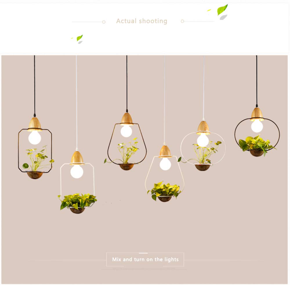 Metal frame with glass planter pendant light